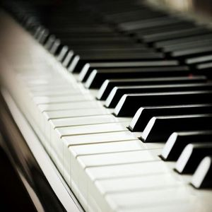 超薄丝袜肥臀小说
