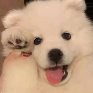 超薄丝袜肥臀小说
